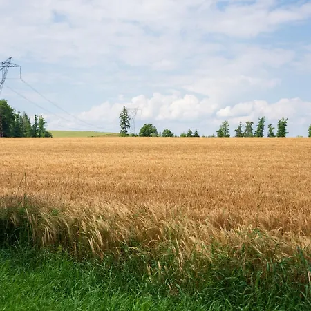 Roubenka Pod Radyni * Stahlavy